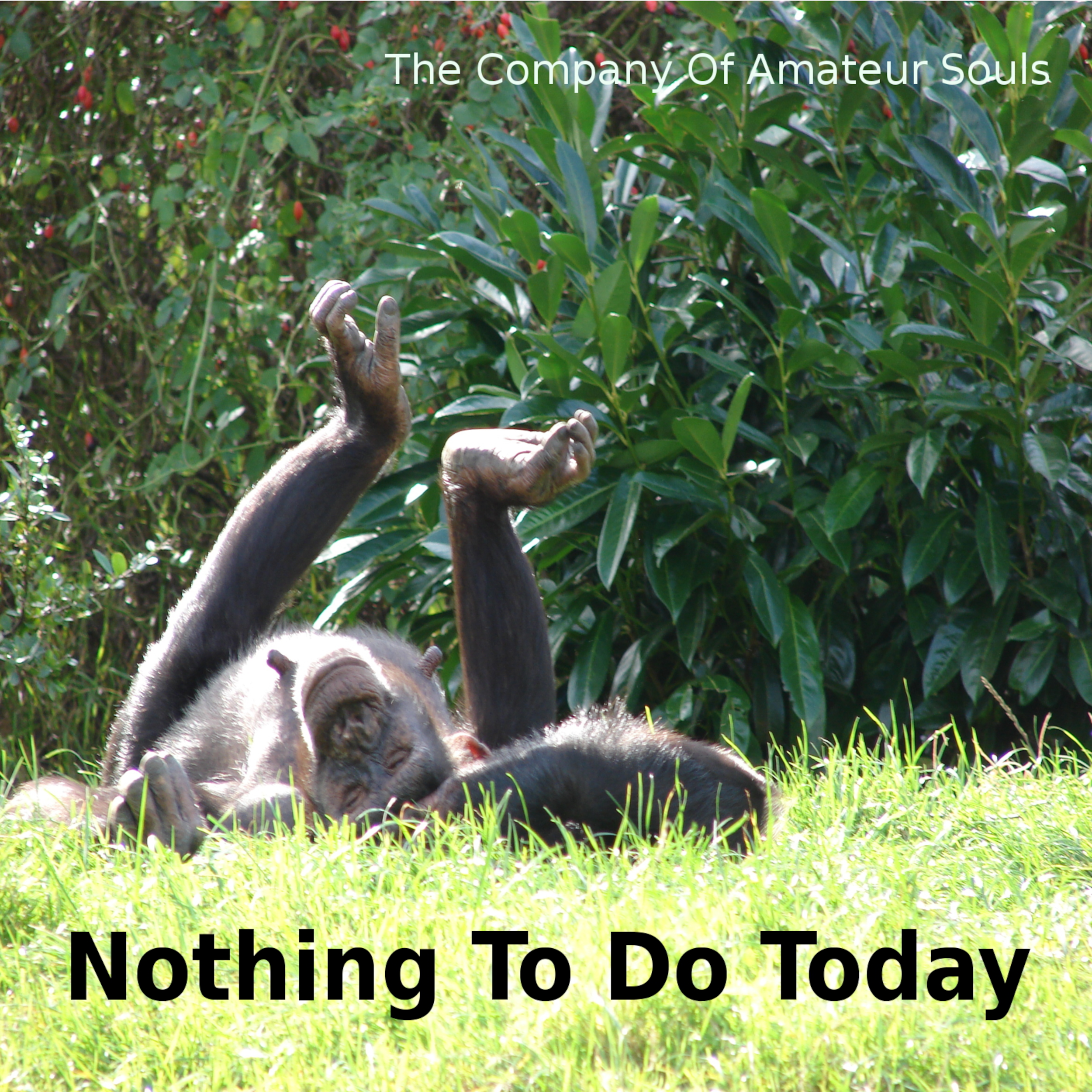 Nothing To Do Today album artwork